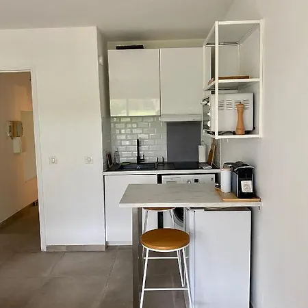 Daire Le Maya - Avec Piscine Antibes